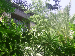 Dar Doukkala Riad & Spa