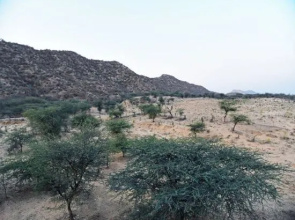 Hotel Silver Star Pushkar
