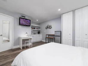 Shell on the Beach 104 - RENOVATED