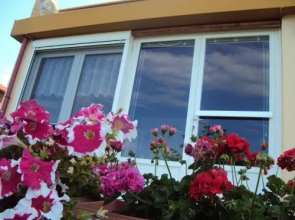 Zoina's House