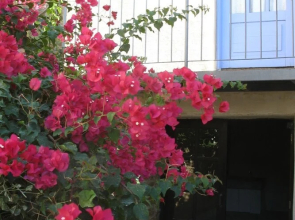 Mespilo House Tochni