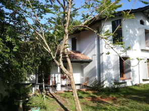 Gallery House