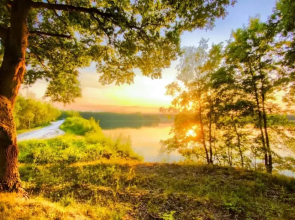 8 Meter Bell Tent - Up to 12 Persons Glamping