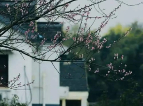 Shisui Home Guest House