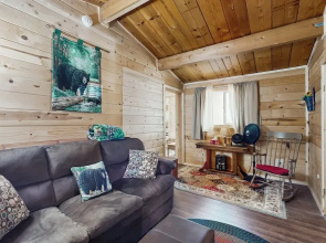 2BR Dog-friendly Cabin Close to Lake & Ski Resort