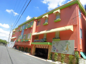 Hotel D.D Kashiba