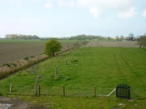 't Noorderlicht