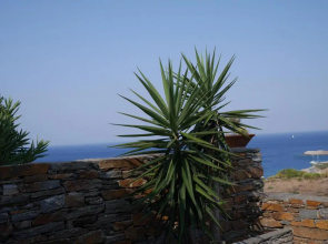 Sea and Sun House