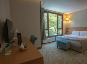 Ayder Hasimoglu Hotel