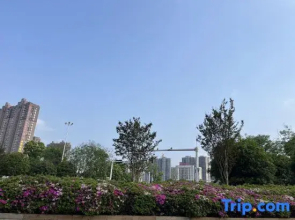 Yipin International Hotel (County Government Affairs Center)