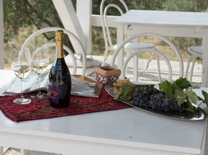 The Small Tuscany Colli Euganei