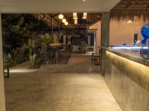 Wild Monkeys Hostel