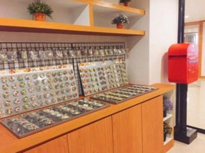 Patra Boutique Hotel