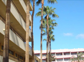 Apartamentos Los Cactus