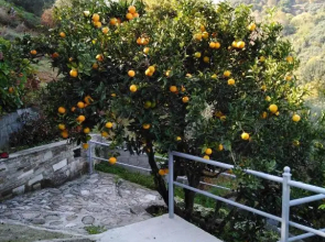 Triantafyllia's House