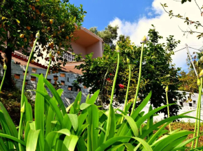 Eden Sea view studios