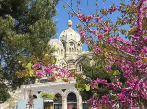 Splendide Appartement Joliette parking securisé