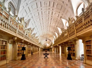 Casa das Camélias - I.B.G. HOME