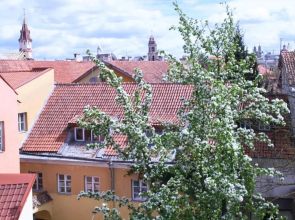 Old Town Apartment Antokolskio