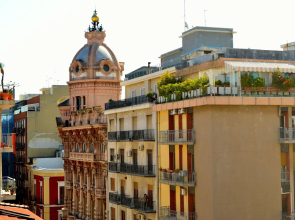 Gatto Bianco Le Dimore