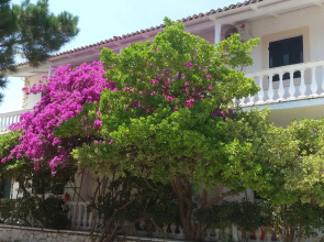 Elli Beach Apartments and Studios