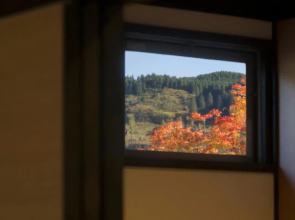 Hatago Sakura