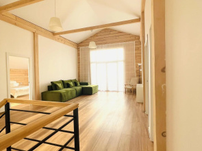 Scandi house