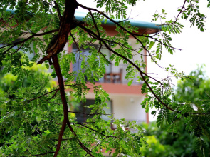 Grand & Gangula