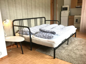 Villa Holmen 2 - Ground floor apartment