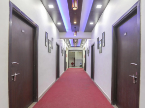 Collection O 50181 DDS Lawns