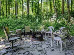 Big Log Lodge House