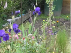 Monts Petit Jardin