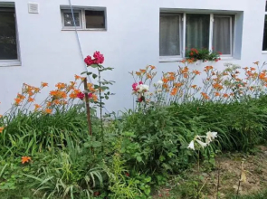 3 Rooms Apartment Airy & Bright Garden