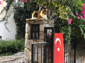 Villa Yasemin