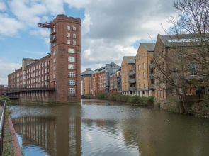 ChocoLets - The Lion Suite