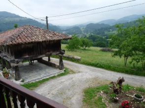 Casa Iris