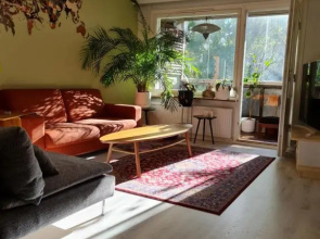 Paradise apartment