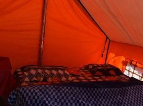 Grand Auli Camp