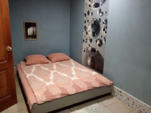 Меблированные комнаты Снегири