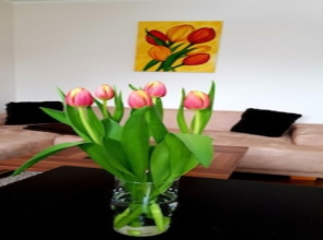 Ferienwohnung an der Elbfähre