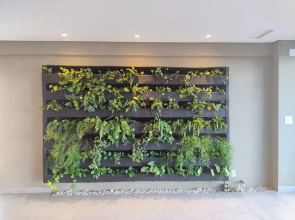 Capri Residence 205