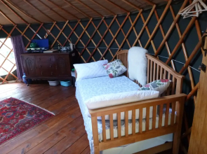 Aspen Yurt - Campsite