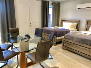 Brand New Townhouse next to Downtown