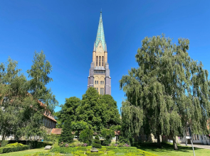 Reethüs Schleiblick