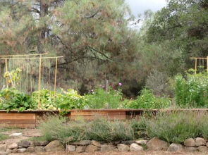 Yosemite Rose Bed and Breakfast