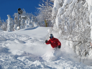 The Inn at Snowshoe