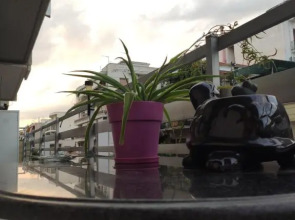 Sophie's Guest House