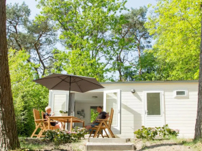 Tiny House Lijster Nunspeet Veluwe