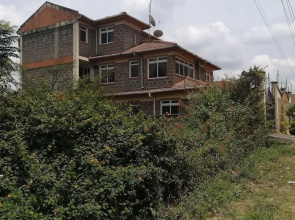 Nyayo homecourts