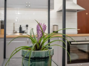 Studio Apartment Stadium Zagreb